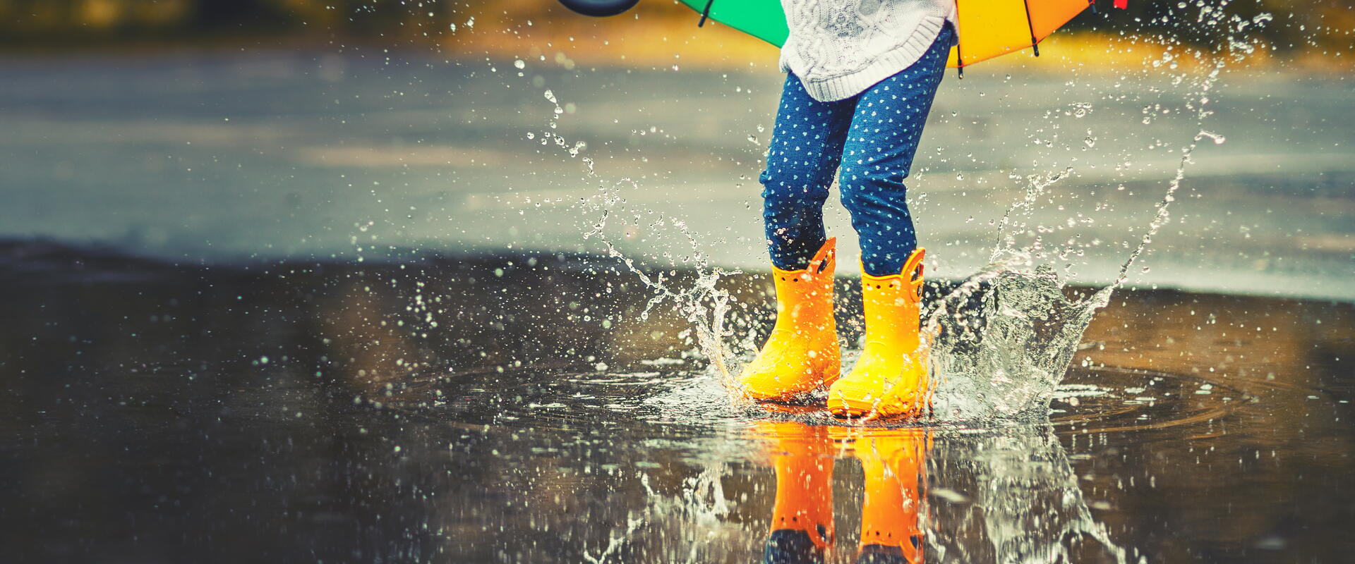 Web design Cologne rubber boots in a puddle